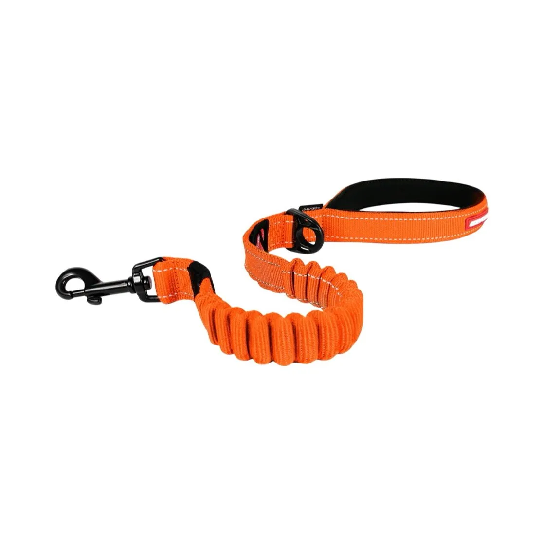 EzyDog Zero Shock Lead Colors: Which One Suits Your Dog? (2026 Guide)