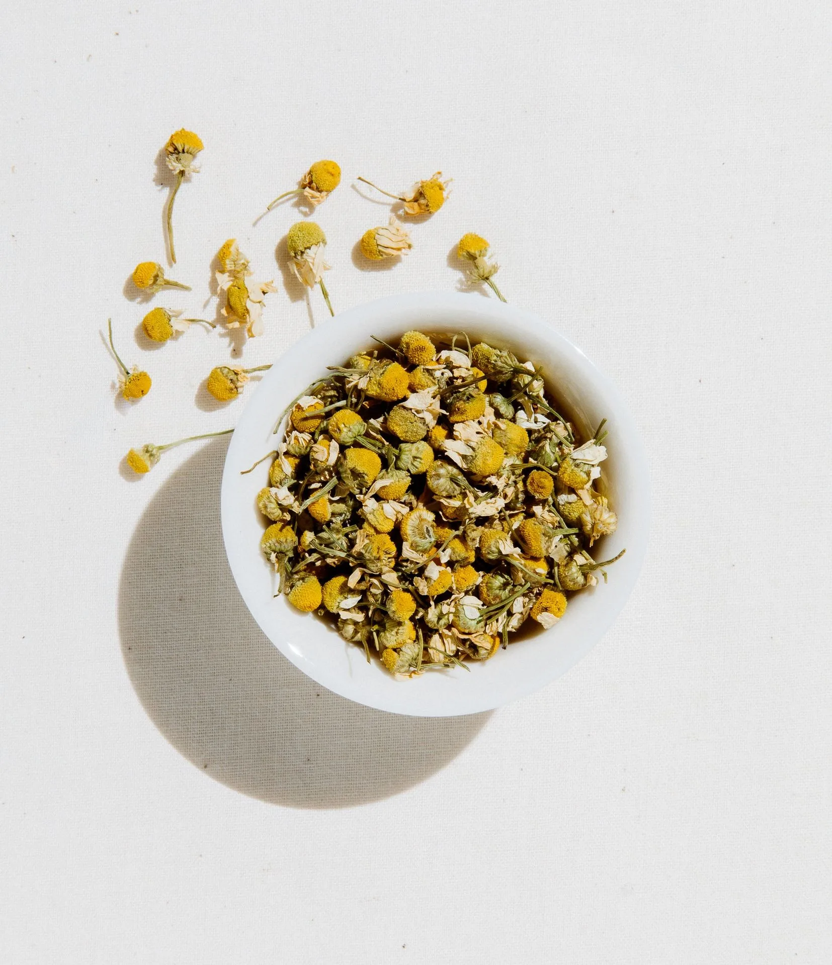 Best Loose Leaf Tea for Beginners: A Complete Buying Guide