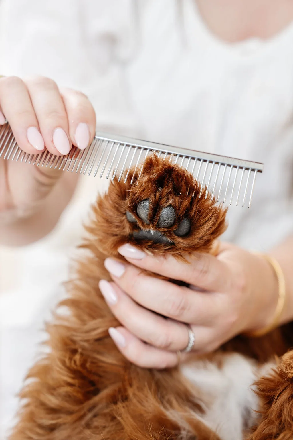 Mini Gentle Detangling Brush vs Everyday Comb: Which to Buy?