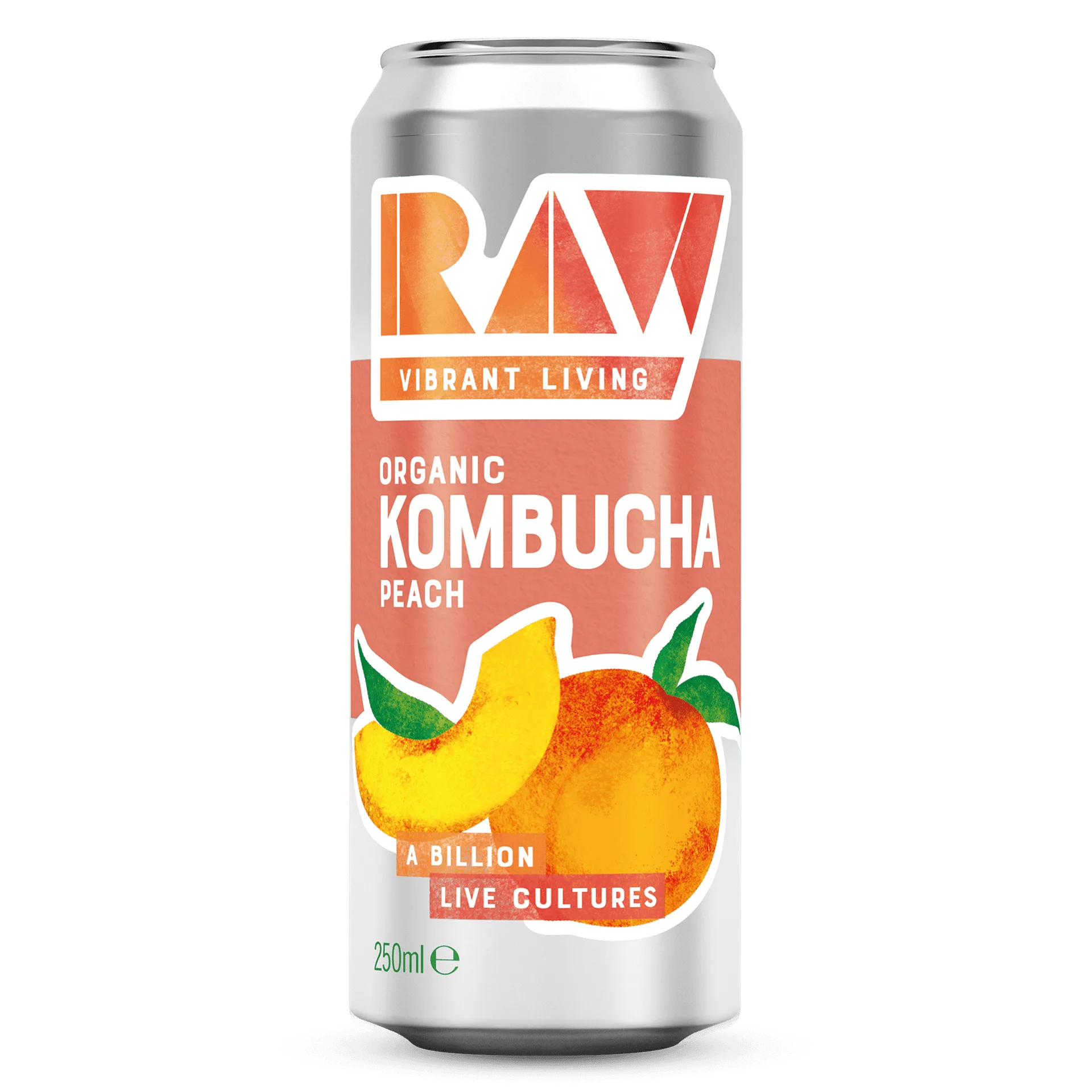 The Latest Trends in Kombucha Flavors and Brewing: What’s Hot in 2025