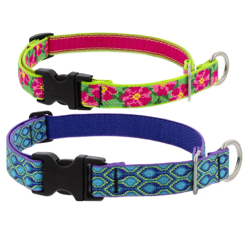 How to Use a Slip Lead Safely for Dog Training: A Step-by-Step Guide