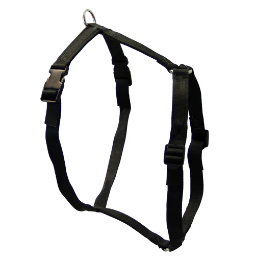 How to Properly Fit a Dog Muzzle: A Step-by-Step Guide
