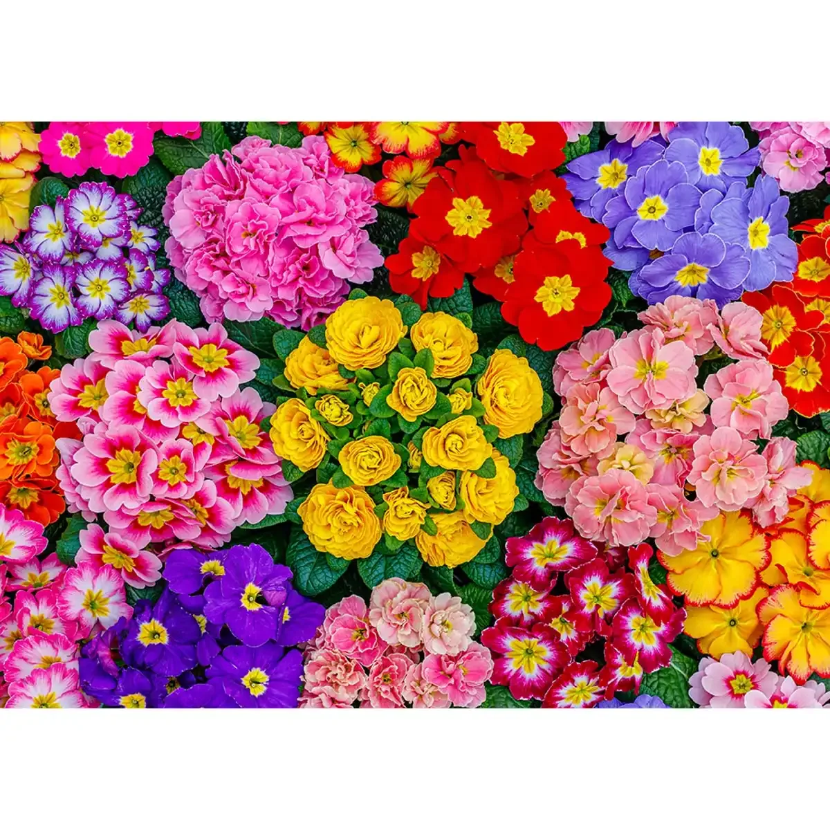 500-Piece Nature Wooden Puzzles: Which Scene Suits You?