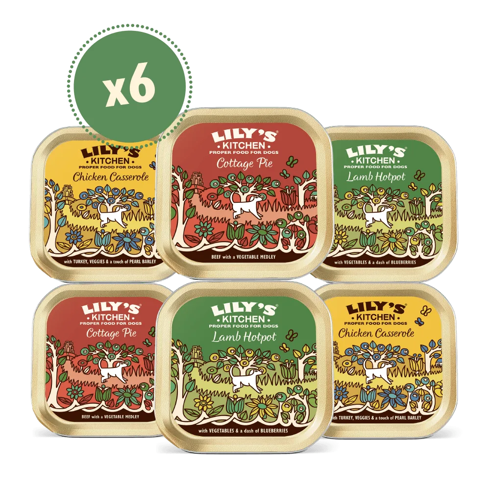 PETLIBRO Grain-Free Recipes Review: Are They Suitable for All Life Stages?