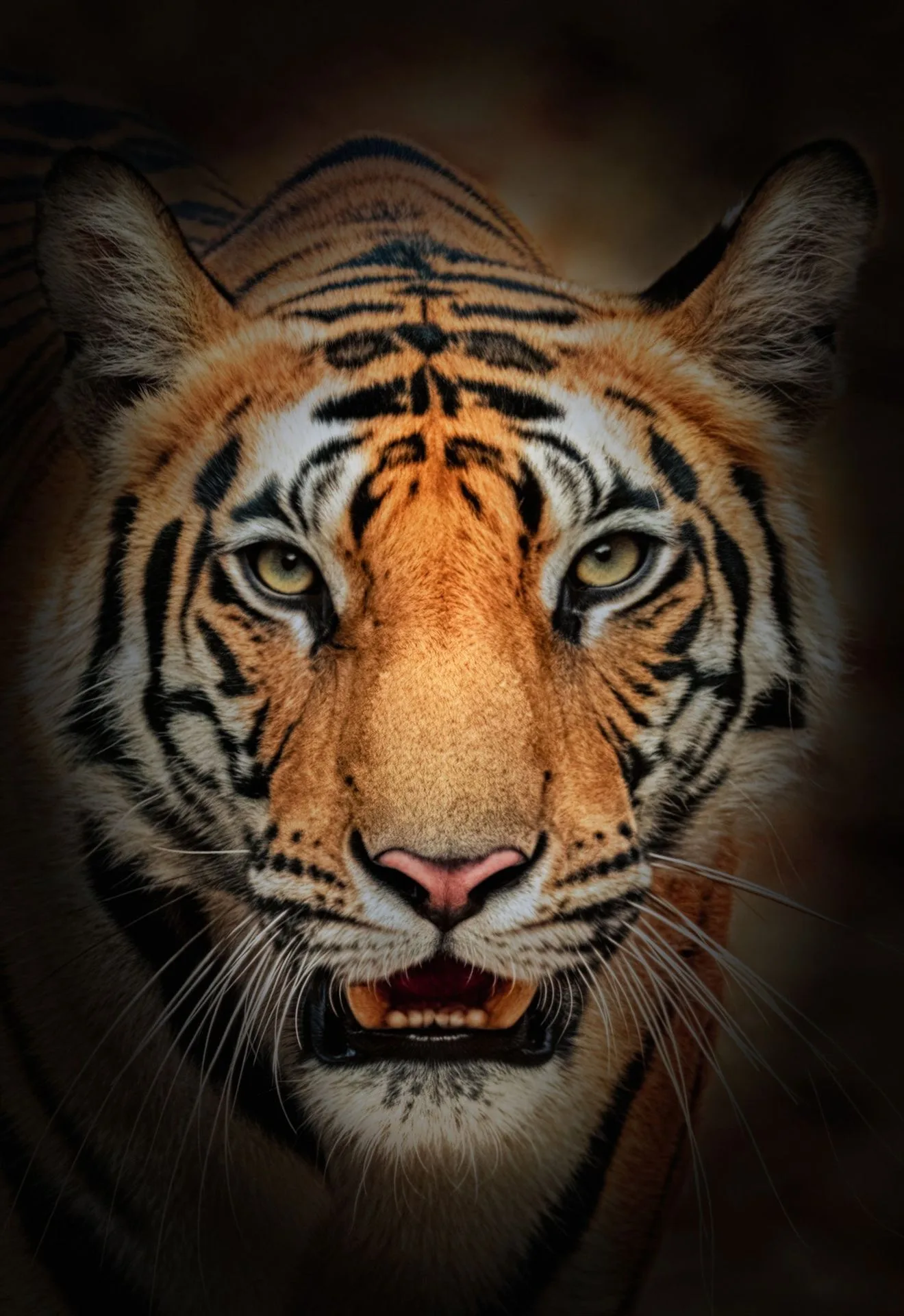 The Ultimate Guide to Collecting Peter Lik's Award-Winning Prints