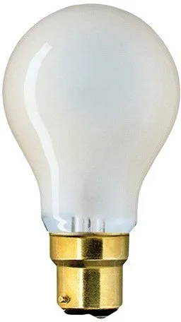Lamps P2/1 BC Bayonet Photoflood lamp - 240V 500W