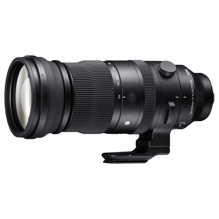 مقارنة Sigma 150-600mm و 100-400mm لتصوير الحياة البرية مع Sony