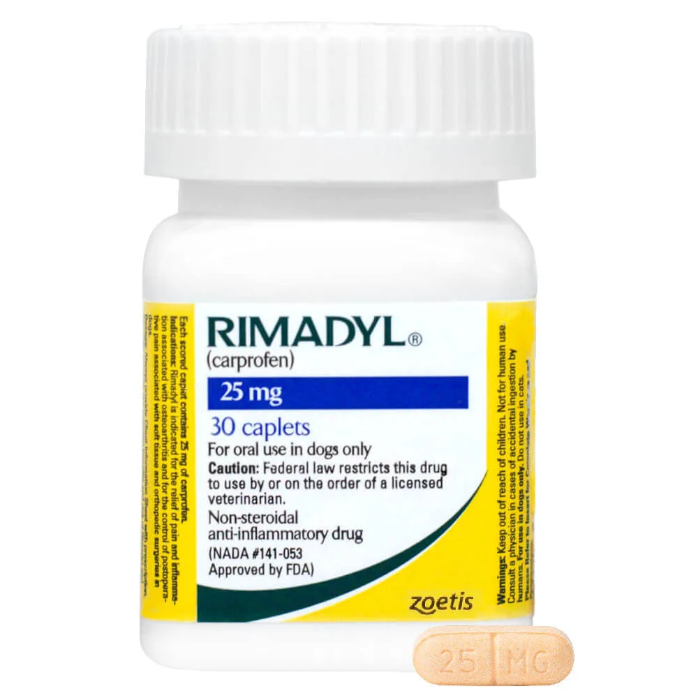 Rimadyl vs Carprofen: What Dog Owners Should Know