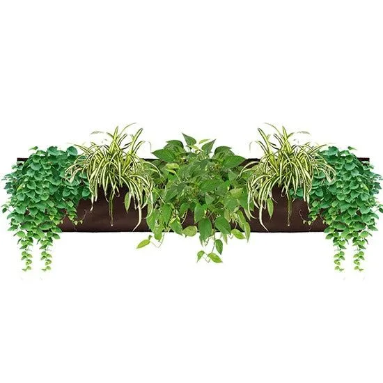Self-Watering Planters vs. Traditional Pots: Which is Better for Your Plants?