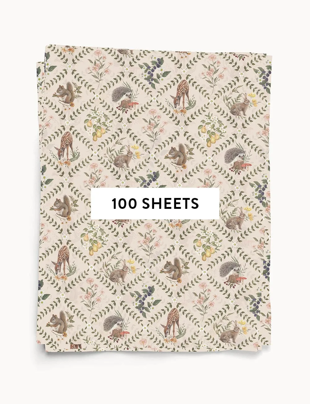 100pk Tissue Paper - Wildflower Trellis
