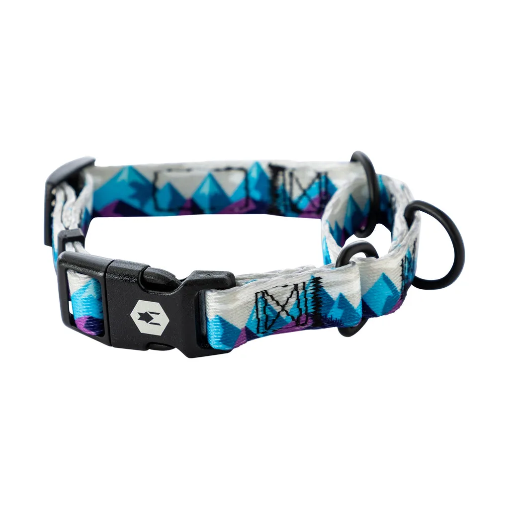 How to Clean and Maintain Your Dog's Harness: A Complete Guide