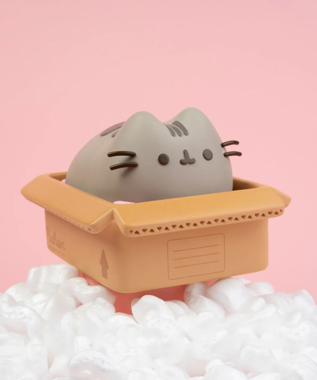 Hucha Pusheen