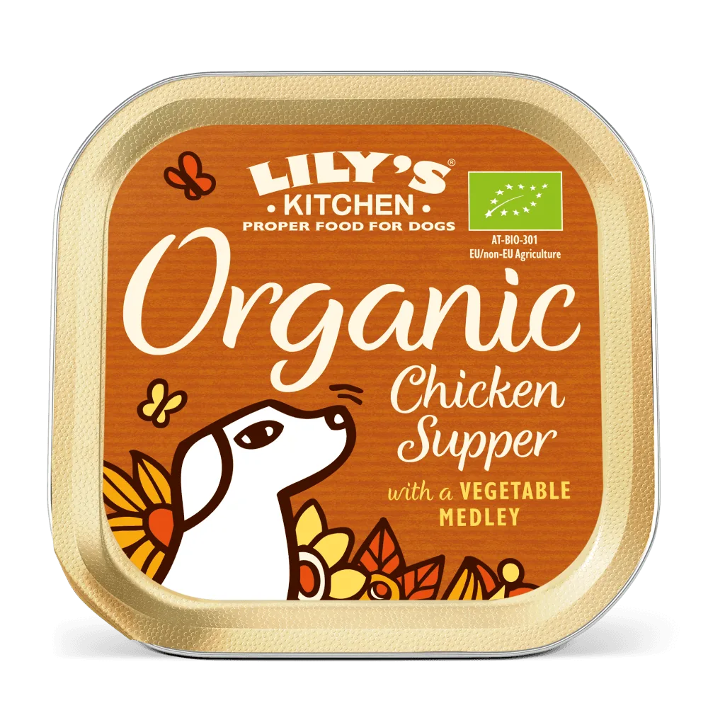 How to Transition a Senior Dog from Dry to Wet Food Smoothly