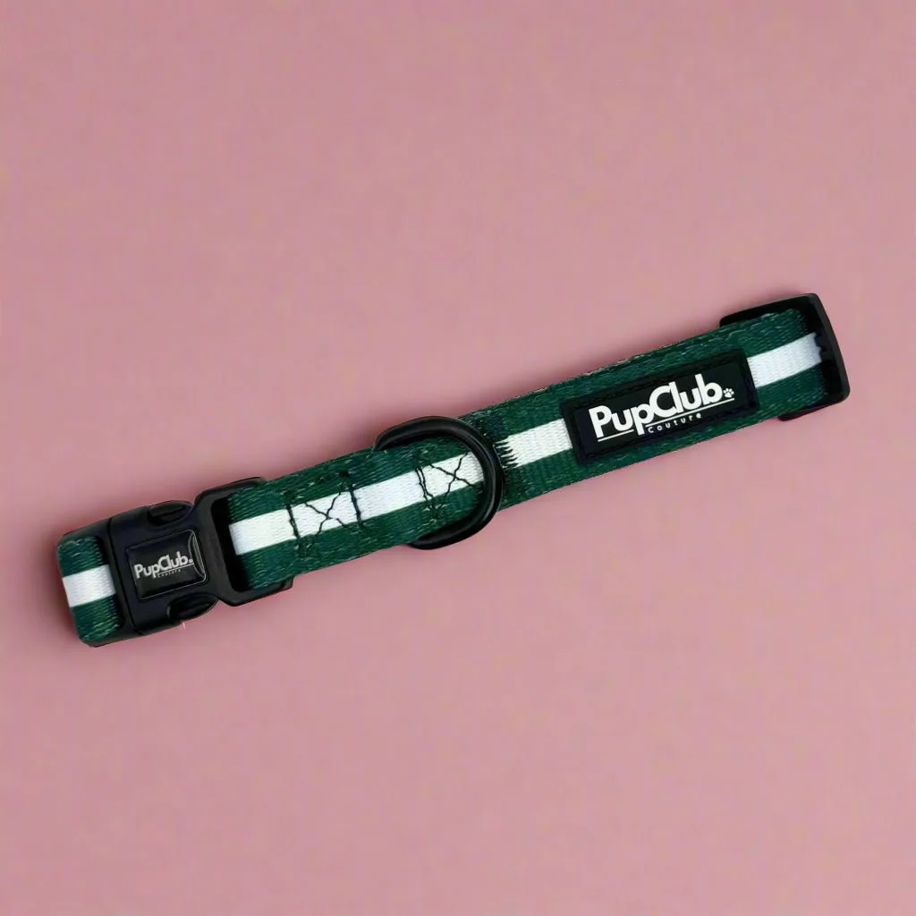How to Measure Your Dog for a Collar Fit