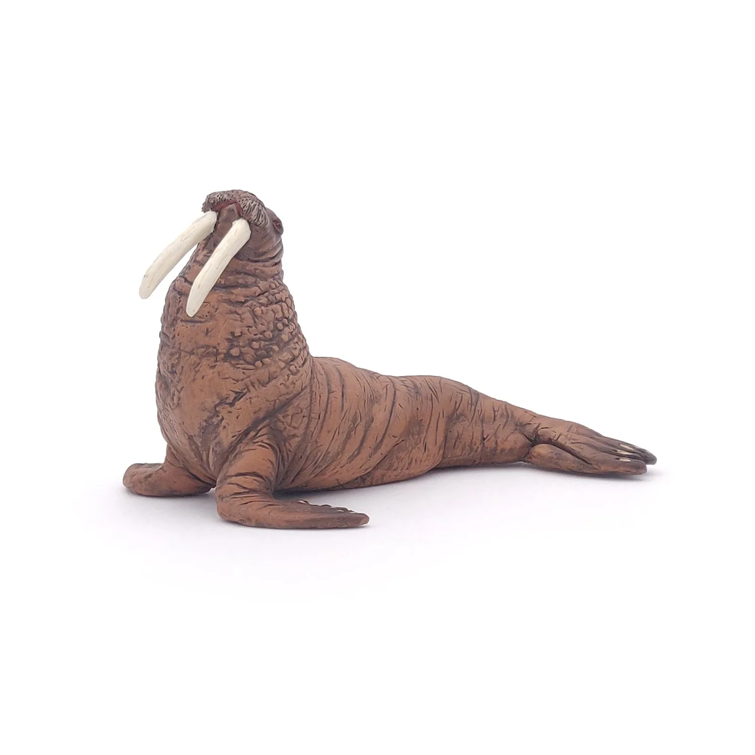 Walrusbeeldje: Arctische feiten & speelideeën