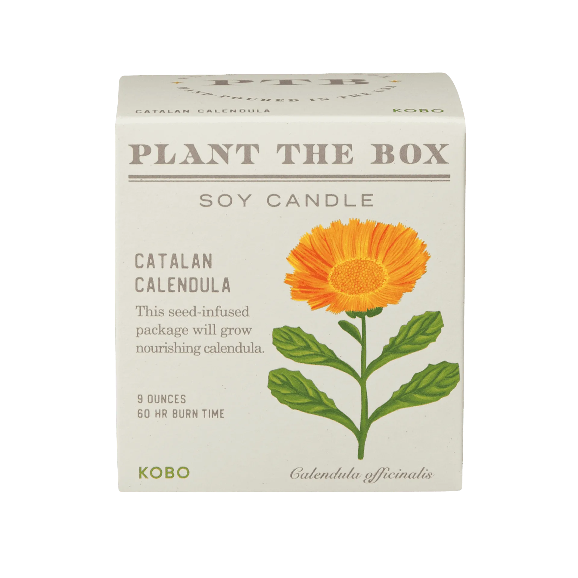 Candle Ingredients: What Makes KOBO Candles Non-Toxic?