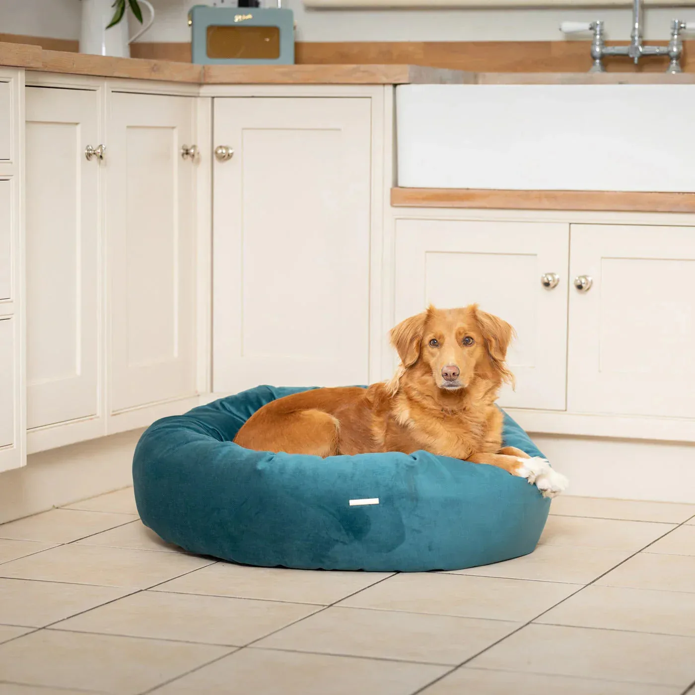 Lords & Labradors Velvet Donut Dog Bed