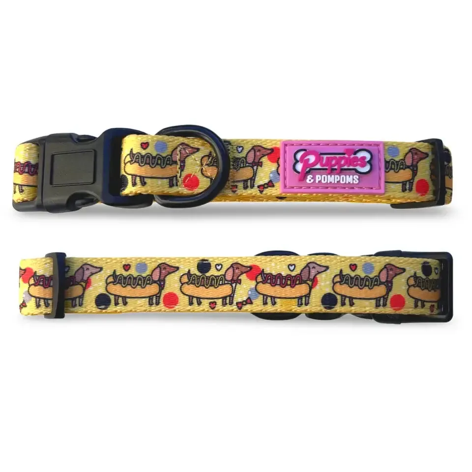 Collar y arnés para perro a juego: un look de marca