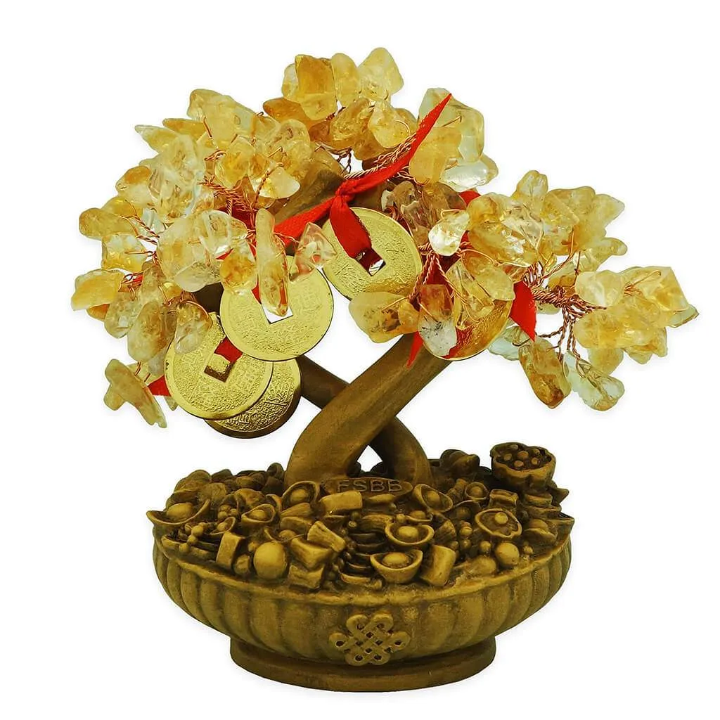 ต้นซิทรินเพื่อความมั่งคั่ง | FENG SHUI BESTBUY