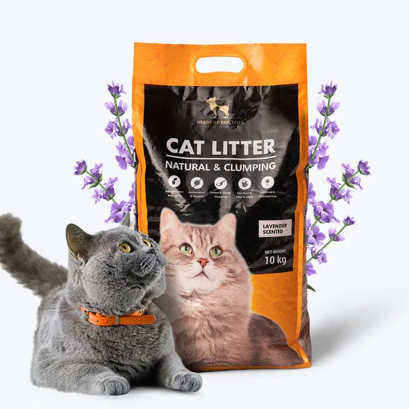 Areia natural para gatos que controla odores: Guia