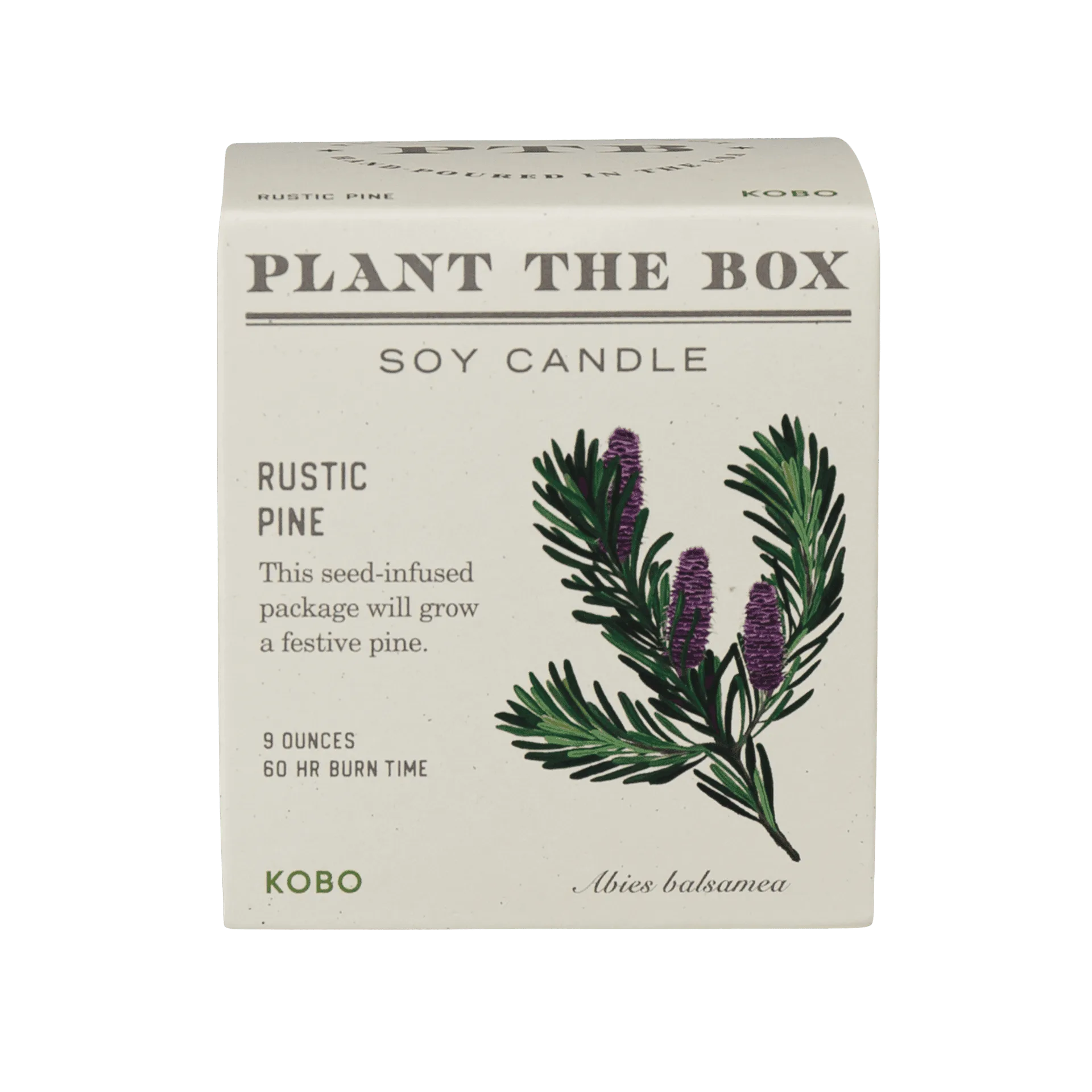 Rustic Pine Plant The Box Candle