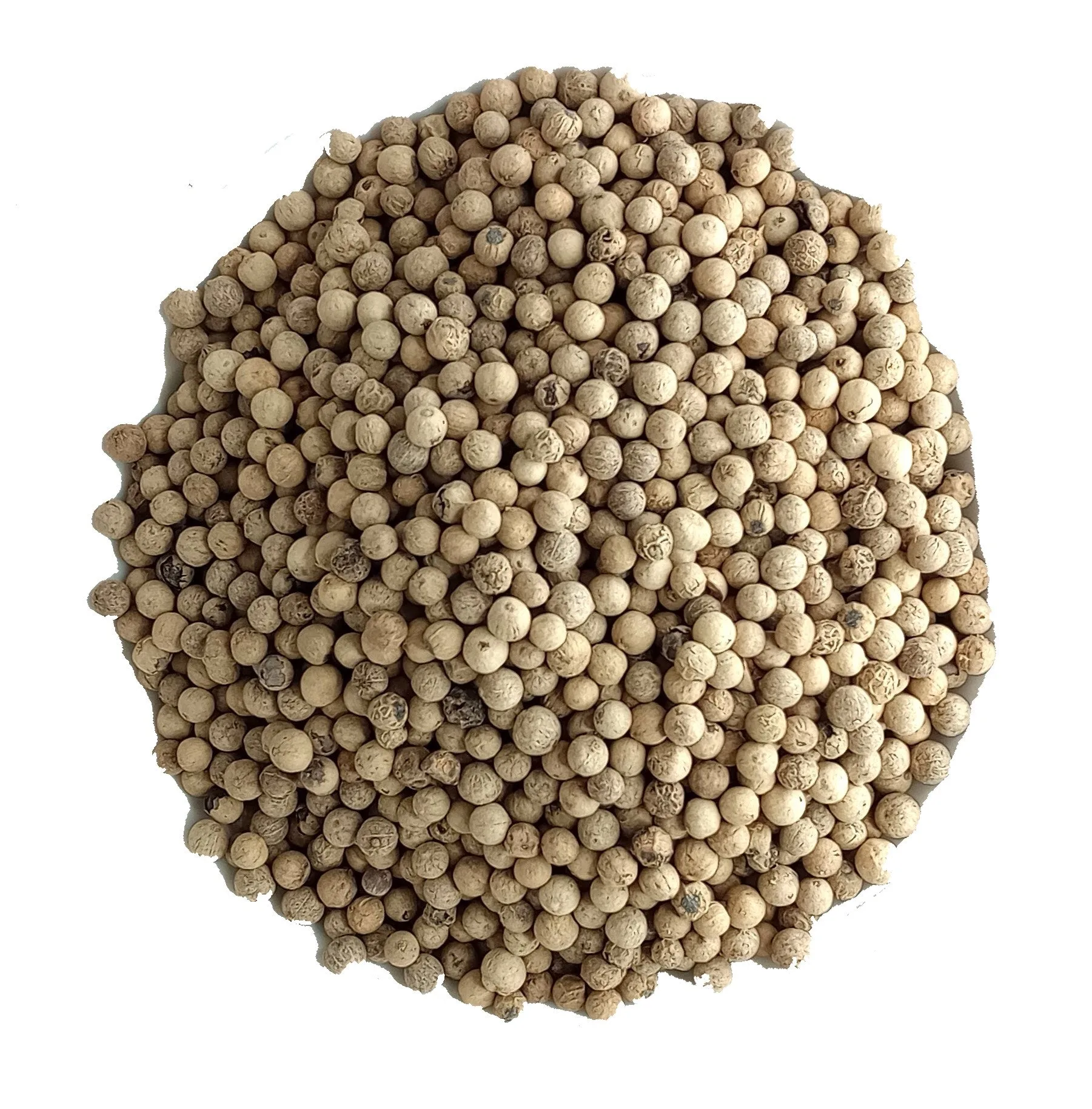 Peppercorns Whole 100% Natural White Pepper Corns - CLEARANCE!