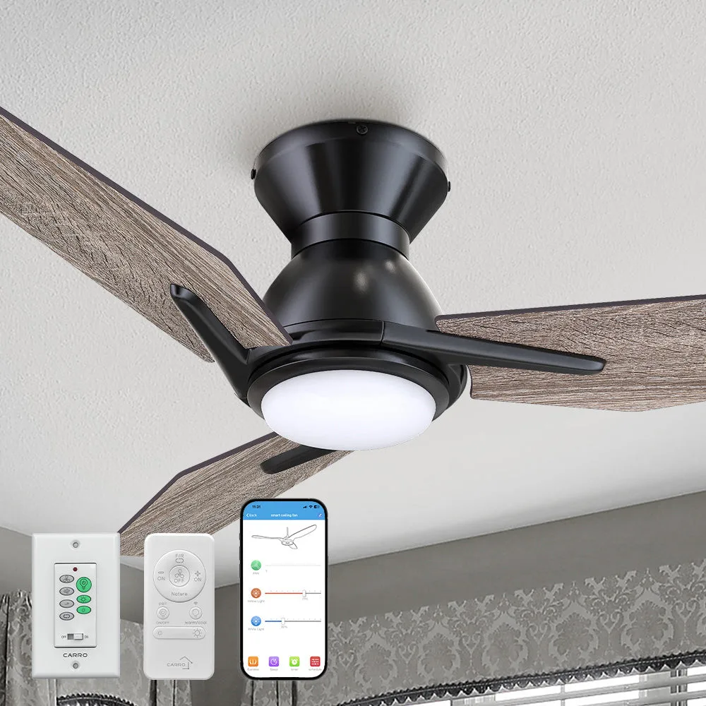 Brooks Ⅱ Low Profile Outdoor/Indoor Smart Fan with LED Light Remote 44 inch