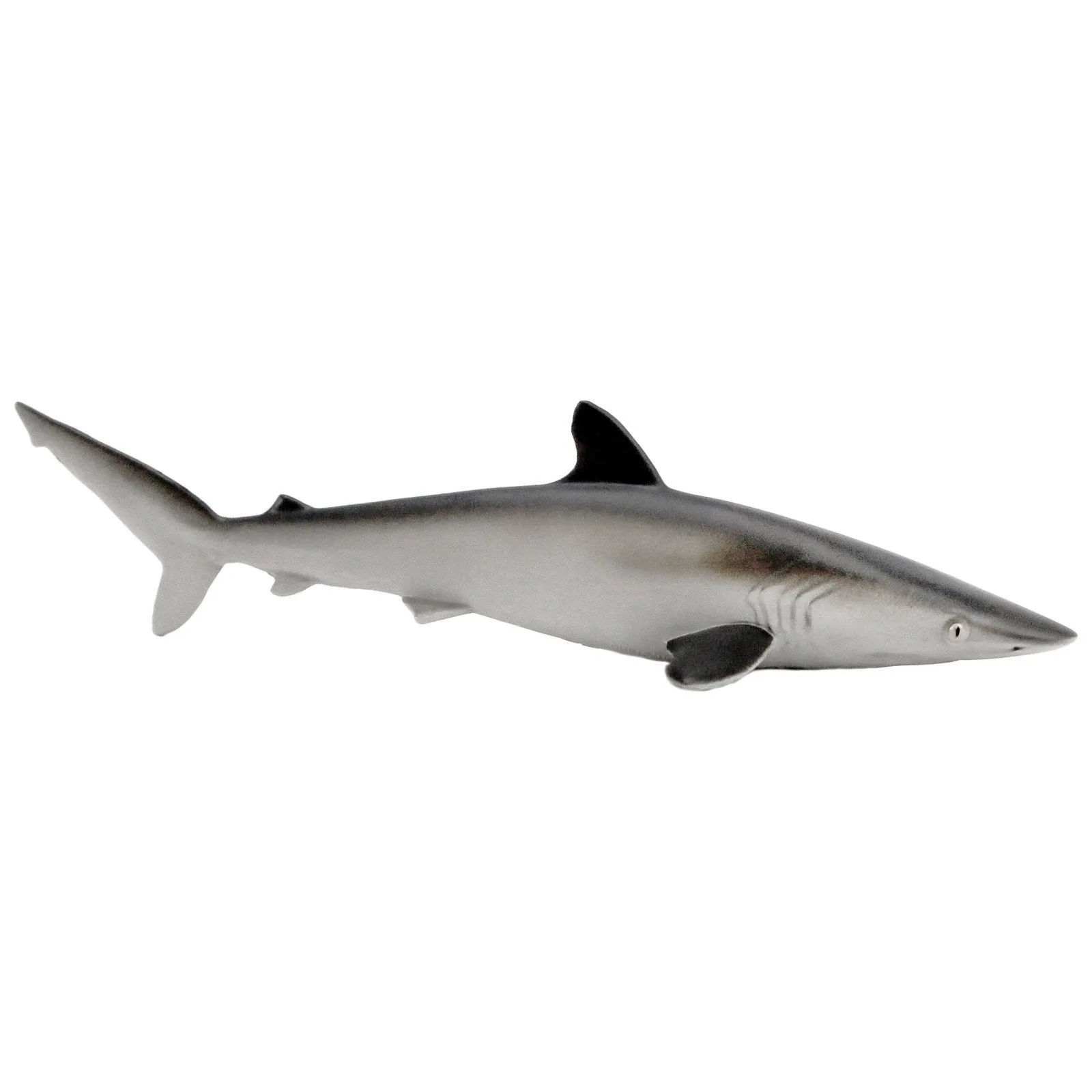 Utiliser les figurines Safari Ltd Vie marine dans les leçons sur l'océan