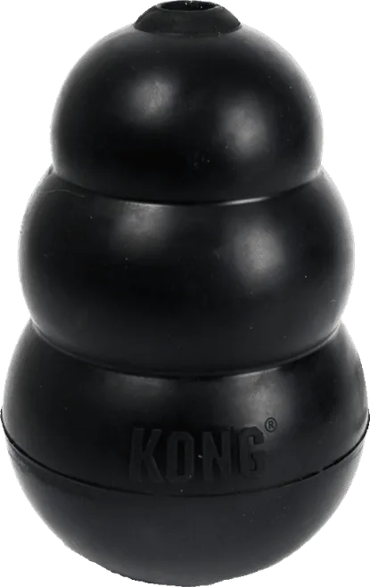 Kong Extreme Dog Toy