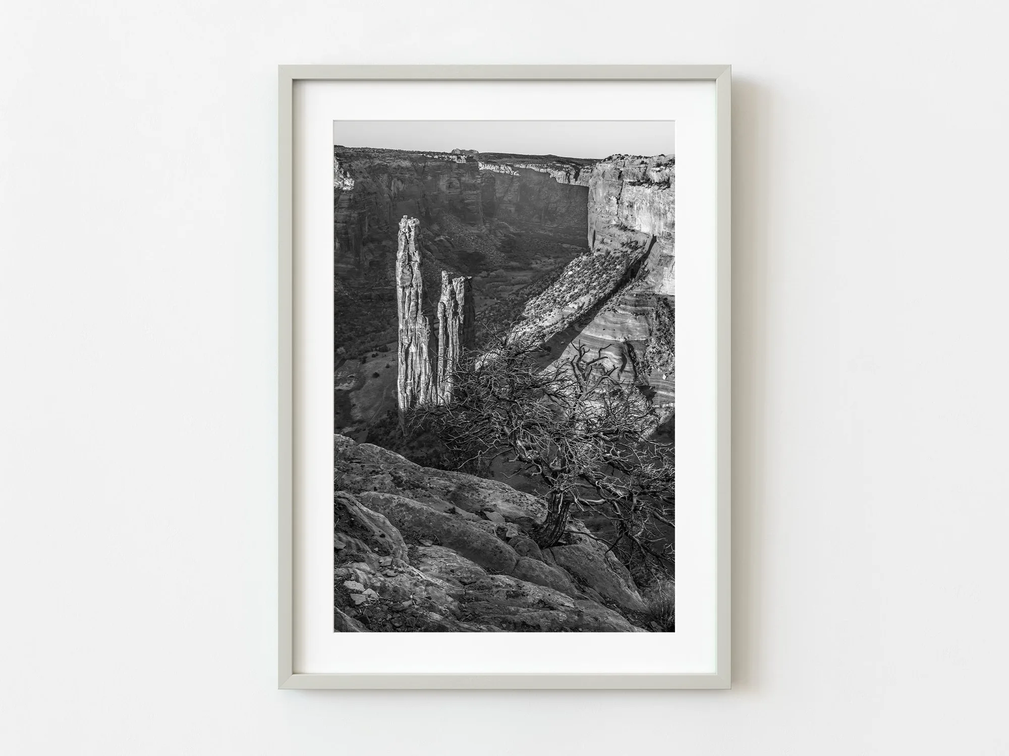 Spider Rock with tree Canyon de Chelly | Limited Edition of 10