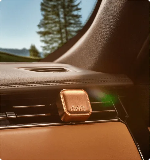Scented Car Spray vs. Car Diffuser: Which Freshens Your Car Faster?