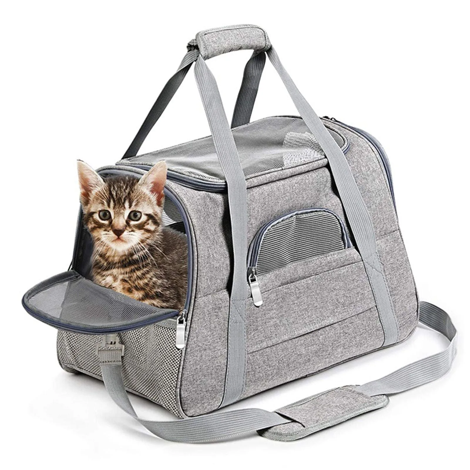 How to Choose a Pet Carrier for Air Travel