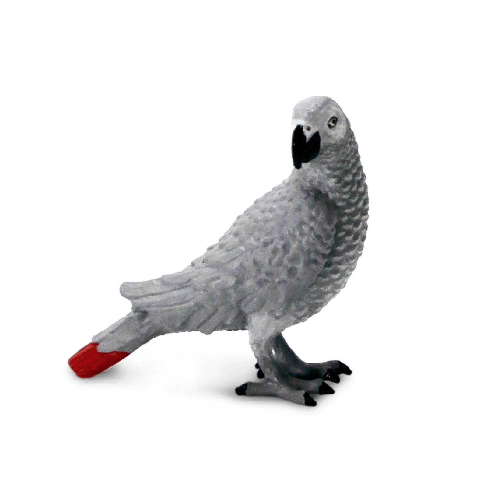 Loro gris africano vs águila pescadora: ¿Qué juguete Wow Bird elegir