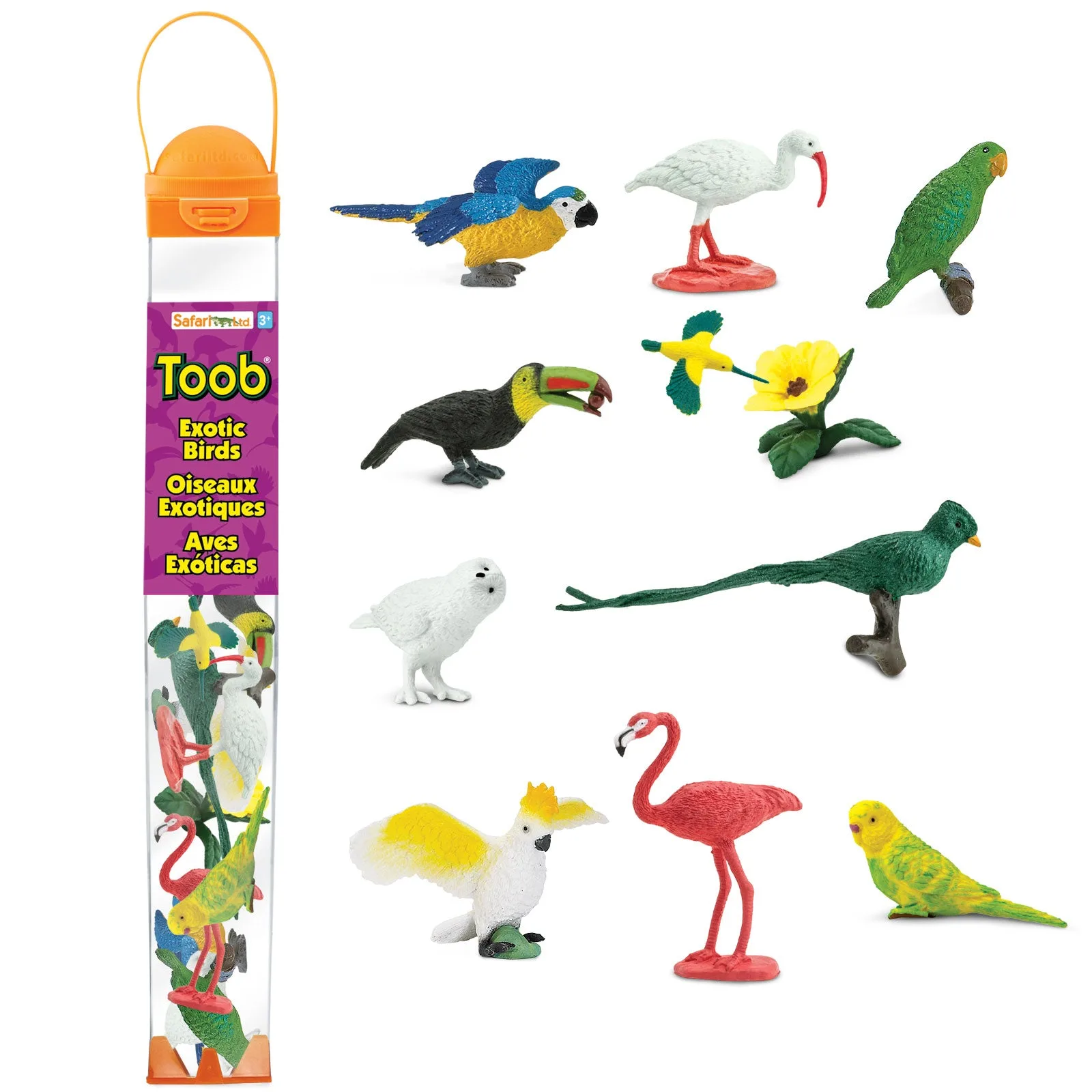 Exotic Birds TOOB®