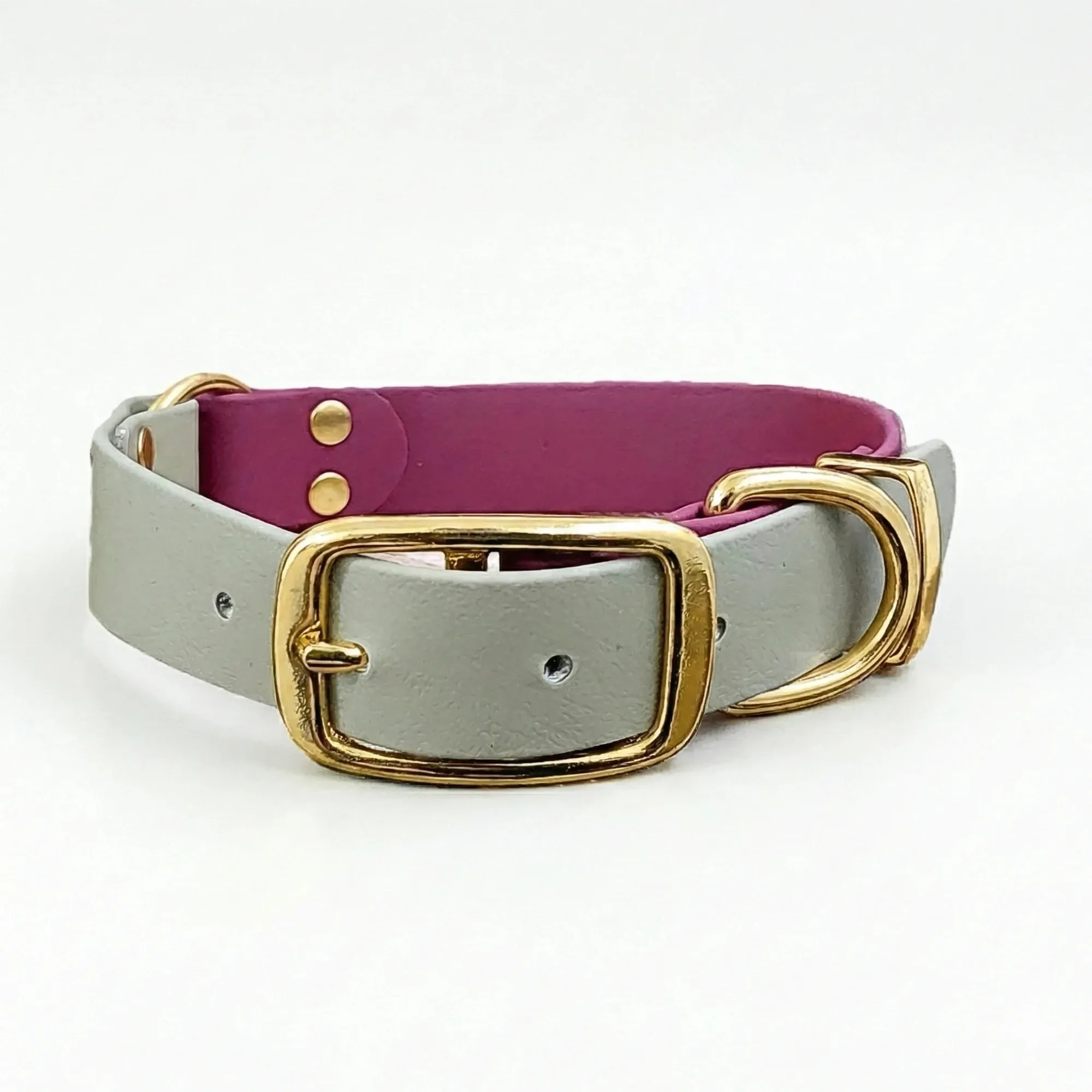 Wine & Beige Multicolour Waterproof Biothane Buckle Dog Collar