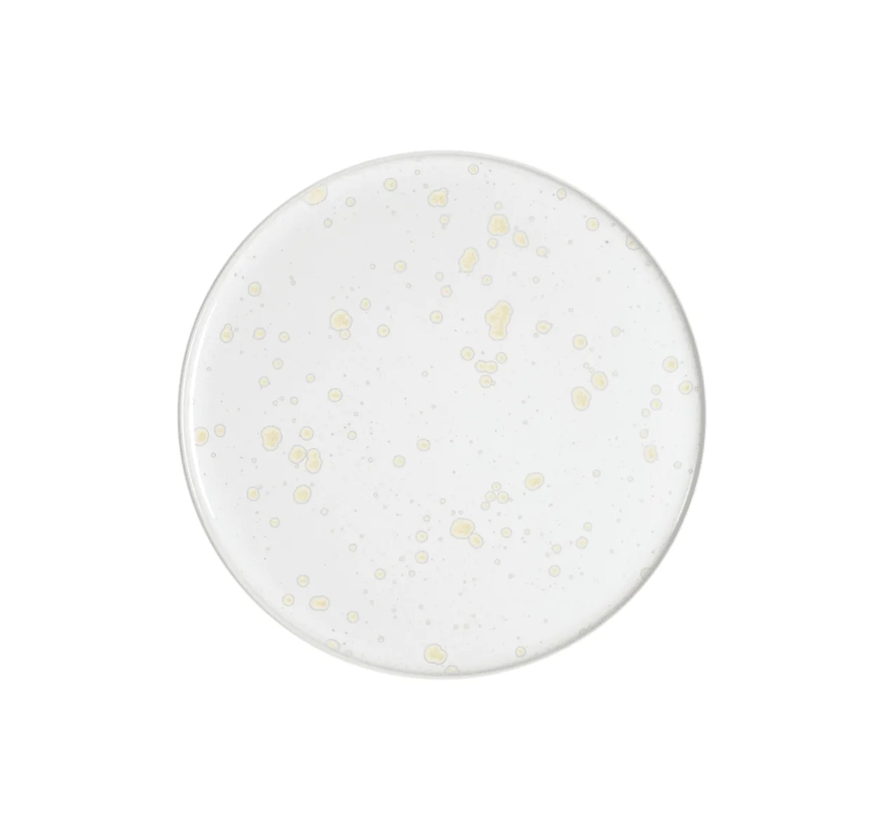 assiette plate nacre