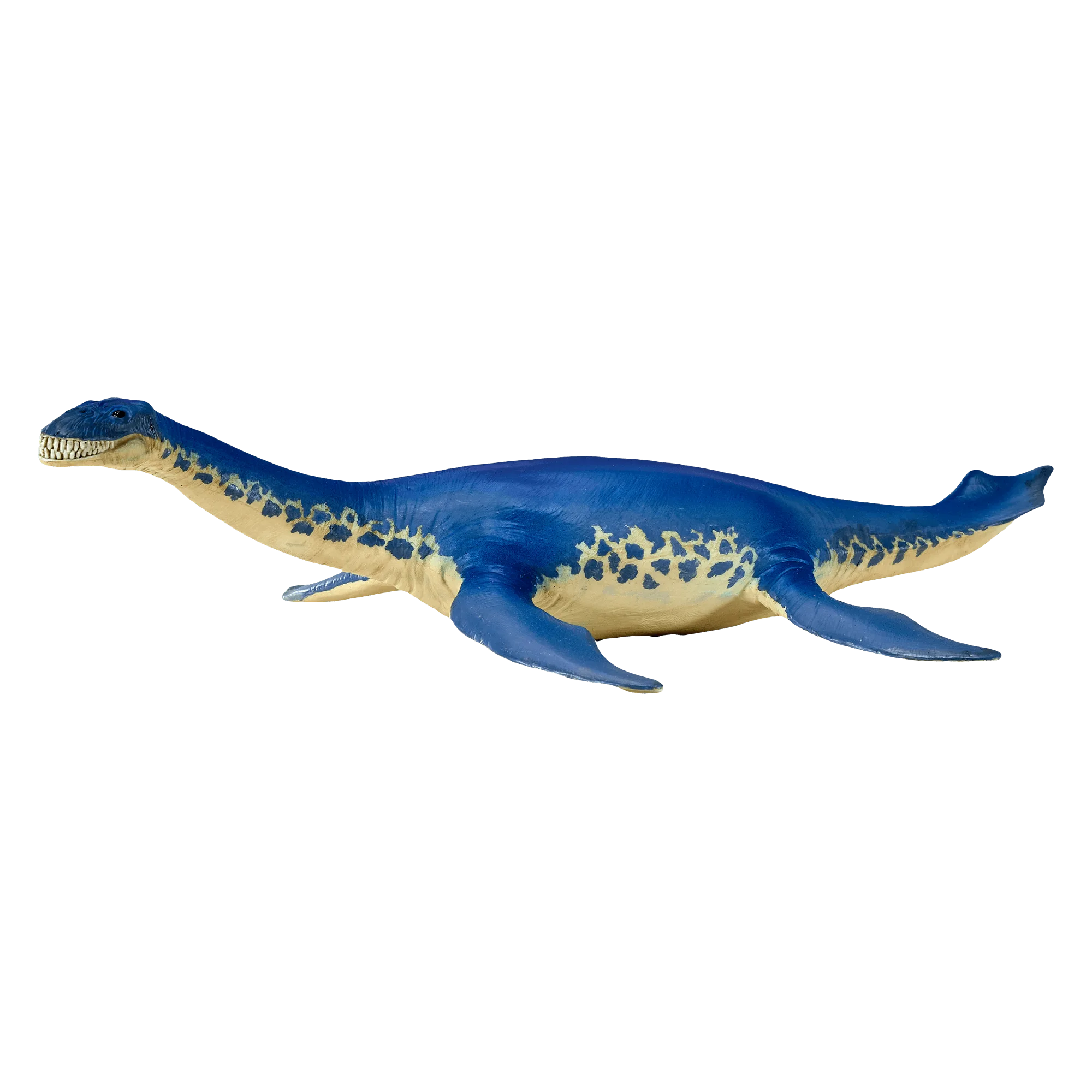 Cryptoclidus