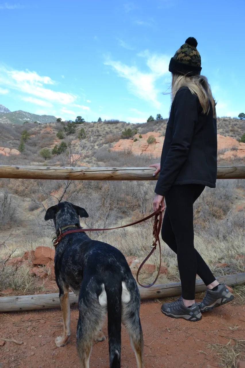 Convertible Service Dog Leash