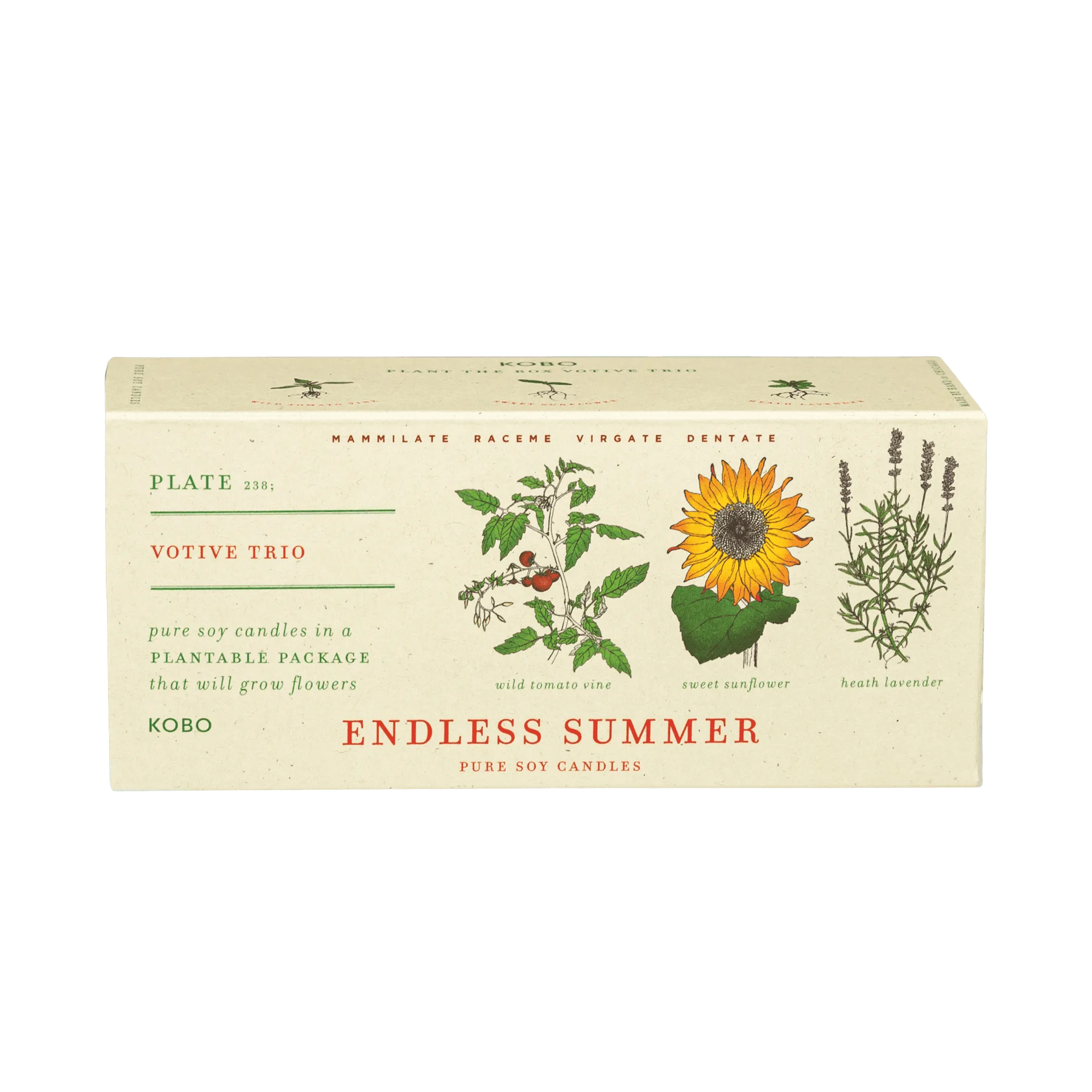 Endless Summer Plant the Box Votive Candle Trio