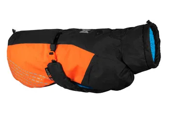 Step-by-Step: Introducing Your Dog to a Trail Light Jacket