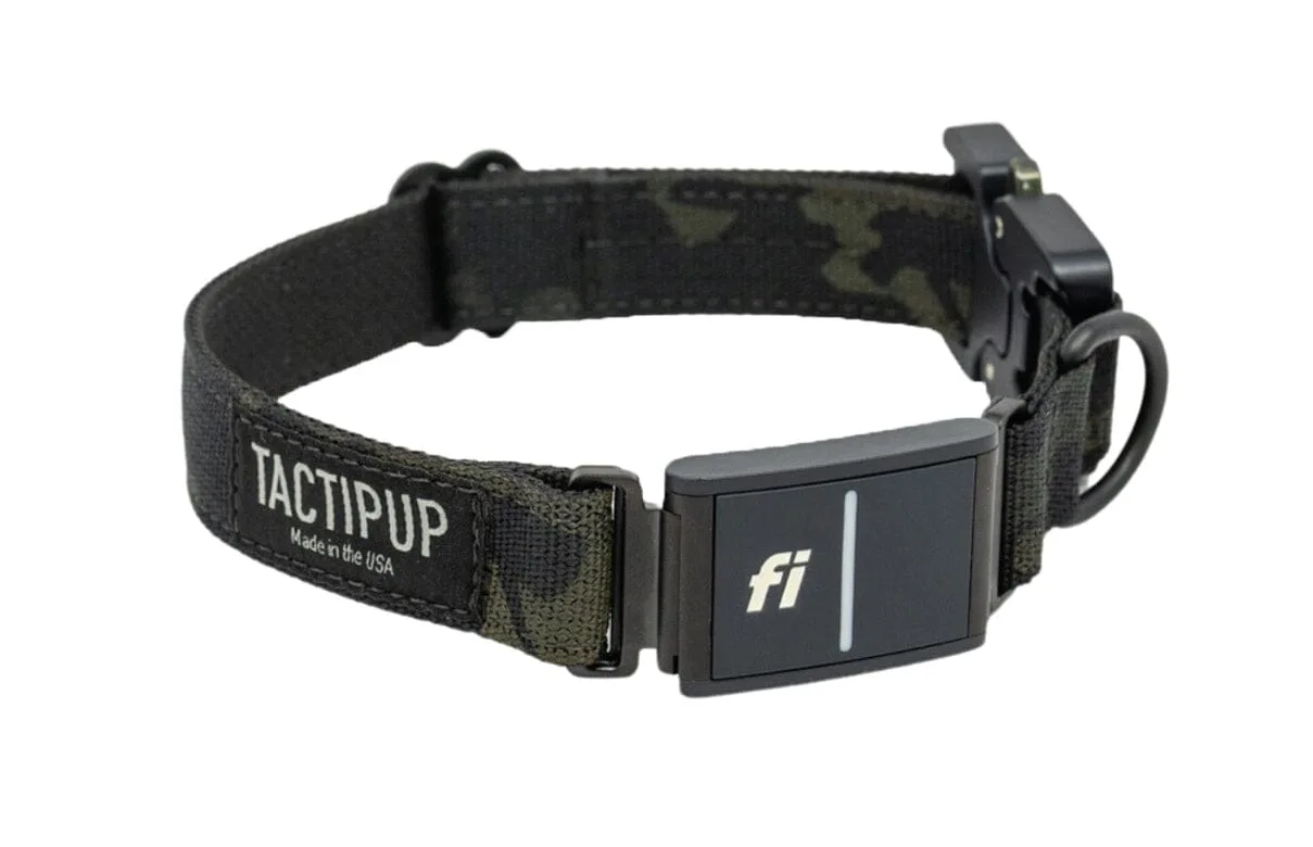 Fi Collar Band Series 1 vs Series 3: vilken passar din hund?
