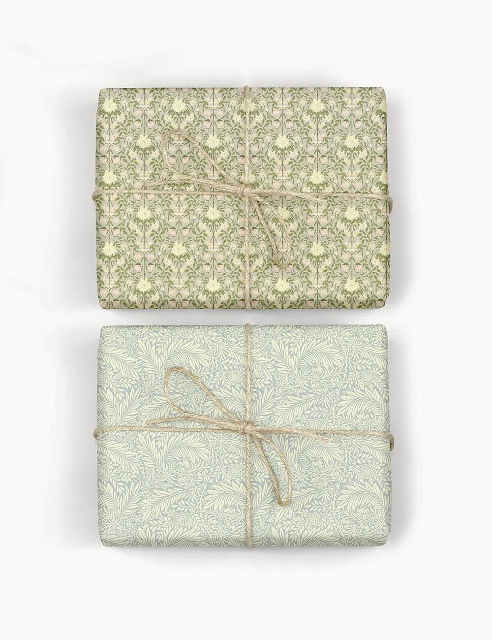 Bloomere / Dune Thicket Gift Wrap 6pk