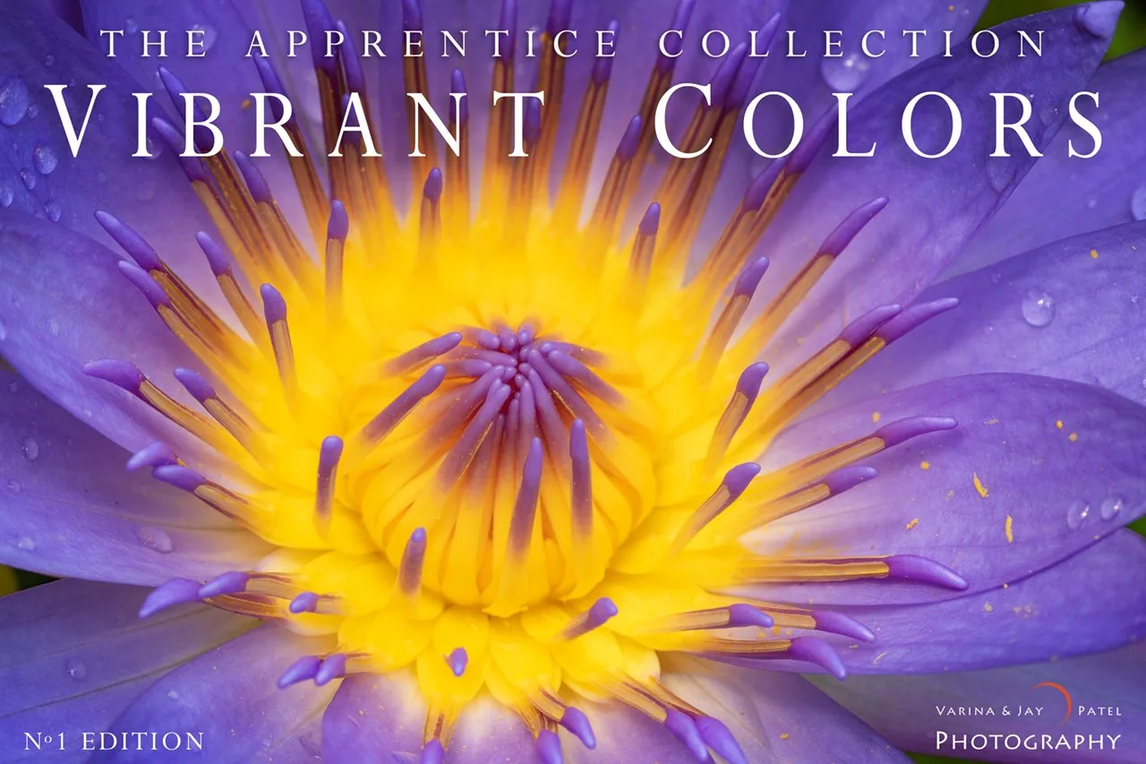 Colores vibrantes en fotografía de naturaleza