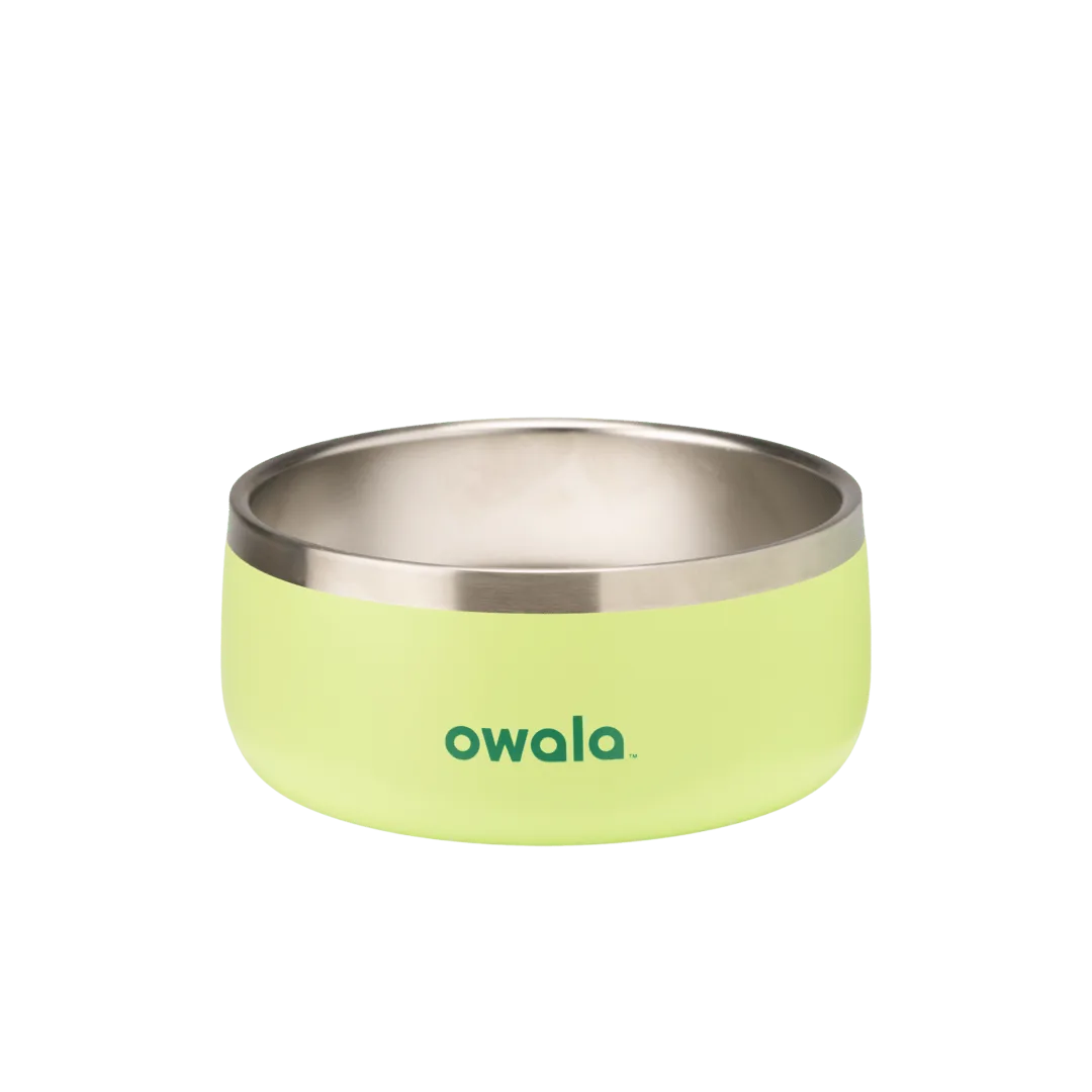 Owala Pet Bowl Buying Guide: Size, Grip, and Cleaning