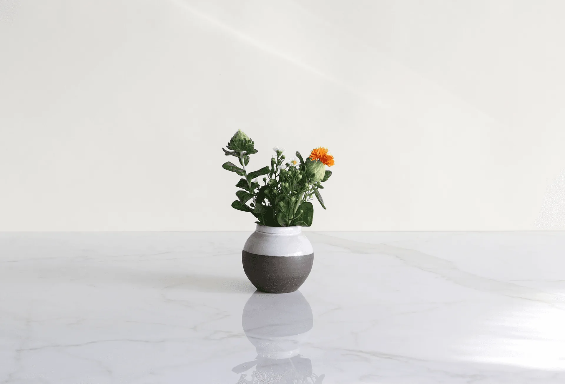 Pro Shop Short Bud Vases