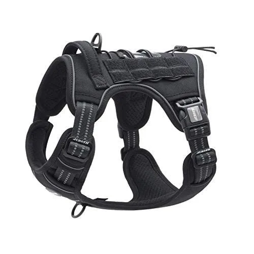 No-Pull Harness Guide for Small & Medium Dogs