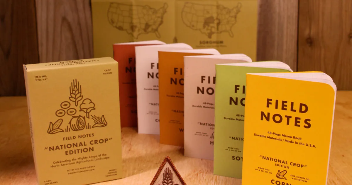 Memo Book vs Journal: How to Choose Your Everyday Notebook