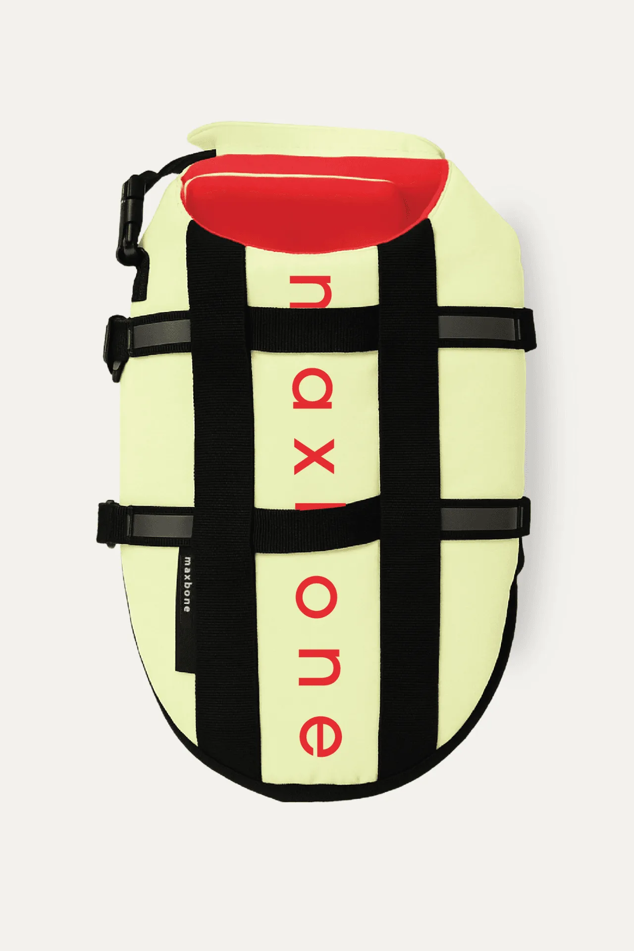 Why Your Dog Needs a Life Jacket: Essential Safety Tips for Water Adventures