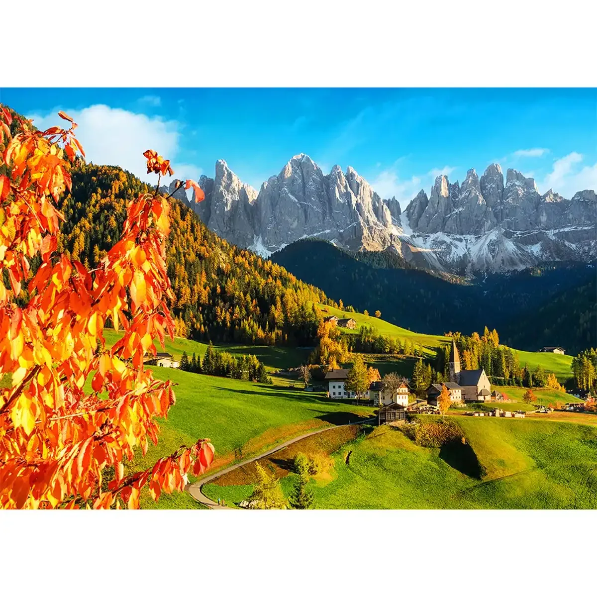 Countryside vs Nature Wooden Puzzles: Which Theme to Pick