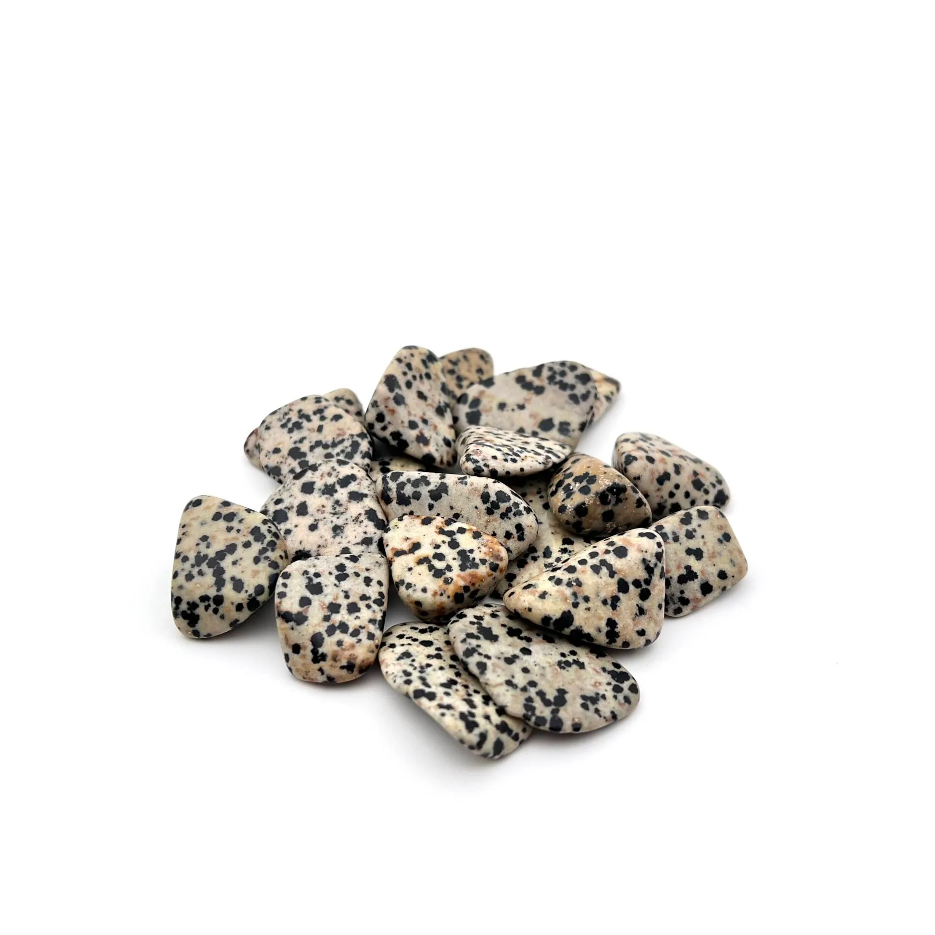 Dalmatian Jasper Tumbled Stone: Meaning and Uses
